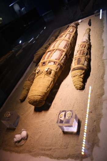 5to.Dia. Museo del cocodrilo en Kom Ombo - En Dahabiya, por el Nilo, con otros ojos (28)